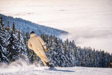 Alain DOUCE - ALAIN DOUCE