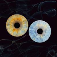 Jean-Marc PENRATH - STUDIO DES VIGNES D'AVARICUM